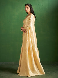 Kalki Silk in Gold