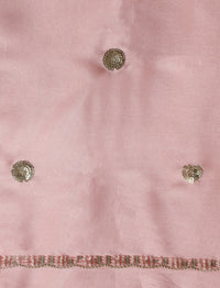 Embelished Saree With Blouse in Pink