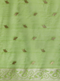 Sarha Floral Woven Design Zari Chanderi Saree in Light Green